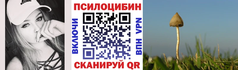 купить   Тайга  Псилоцибиновые грибы Magic Shrooms 